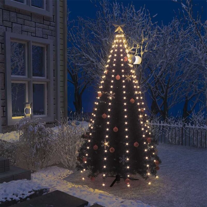 Weihnachtsbaum-Lichternetz mit 250 LEDs 250 cm Vidaxl