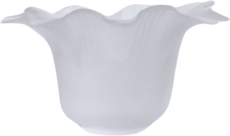 Tulpe Sonia 16x9.5cm Öffnung 5cm