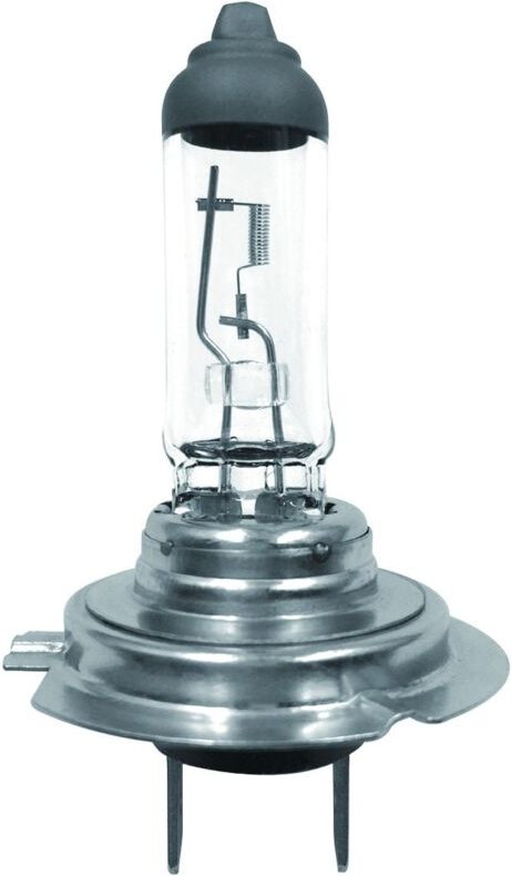 Trendline - Scheinwerferlampe H7 12 v 55 w Halogenlampe Scheinwerfer