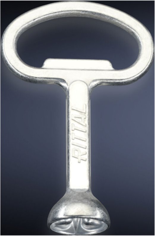 Hd 2549600 Schaltschrankschlüssel Doppelbart Stahl 1 St. - Rittal