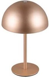 LED-Akku-Tischleuchte munoz, R54891165, 1,3W, 120lm, 3000K, coffee - Reality