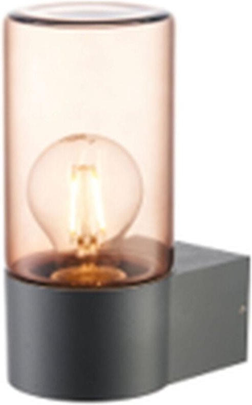 Außenlampe Wand Aluminium Rauchglas H: 19,7 cm IP44 Grau Bernstein E27 Modern