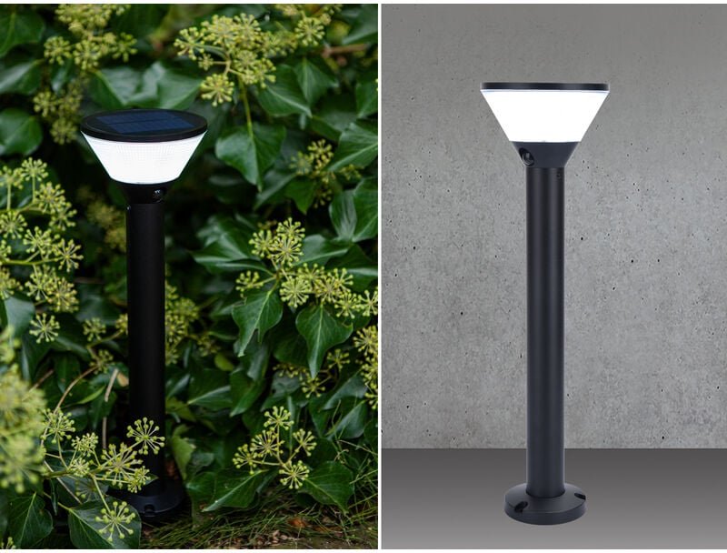 Lutec - Solar led Wegeleuchte karlo 45cm, Bewegungsmelder & rgb Farbwechsel