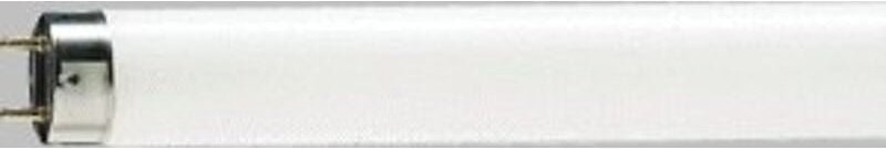 Tl-d Super 36W Sockel G13 3000K dimmbar - Philips