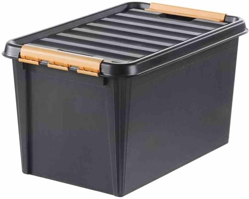 PROFI-Box 50 l schwarz SmartStore Pro 45
