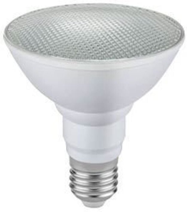 GSC - PAR30 LED-Glühbirne 12W E27 6000K IP65