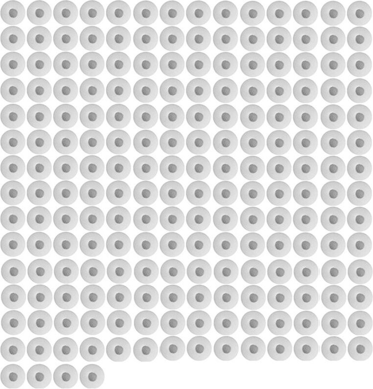 200 Stück -Ohrstöpsel für Headsets, Ohrhörer, Weicher Schaumstoff, Schutzhülle für Kopfhörer,