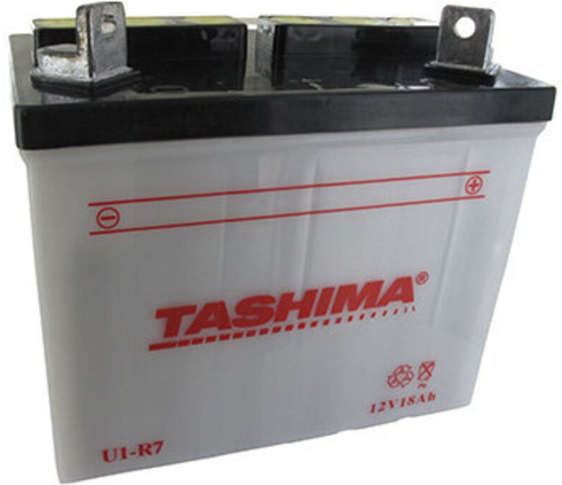Batterie Blei Tashima für Aufsitzmäher 12V, 18Ah. L: 195, B: 130, H: 185mm, + rechts. (ohne Säure geliefert). - Batterie...