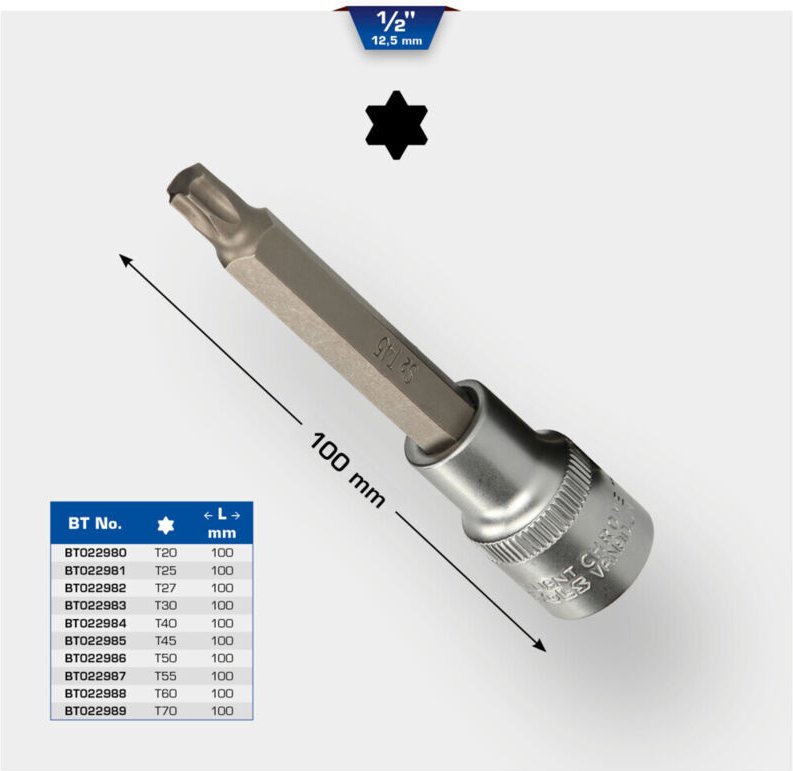 Brilliant Tools - 1/2' Torx-Bit-Stecknuss, 100 mm lang, T25