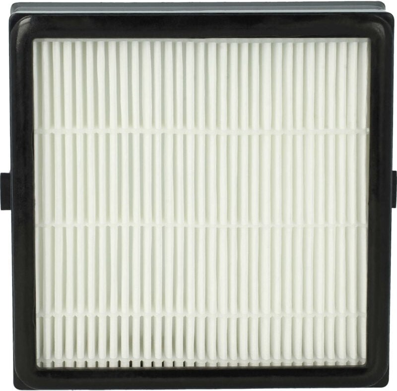Staubsaugerfilter kompatibel mit Nilfisk King 510, Extreme, Home, 530, Arnoldi, 540, Great Dane, 520 Staubsauger - hepa ...