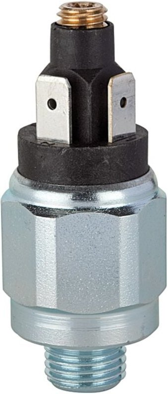 Riegler Druckschalter, Standard, Stahl verz., G 1/4, 10 - 70 bar, Öffner