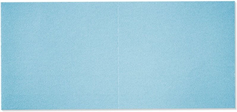 Schleifblätter stf 46X178 P80 gr 10 Stk - Festool