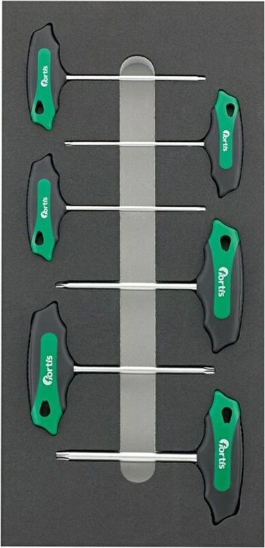 Werkzeugmodul 1/3 T-Griff Torx fortis