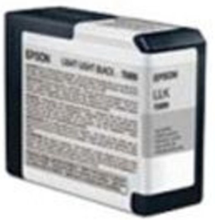 Epson C13T580900 Druckerpatrone T5809 helles schwarz (C13T580900)