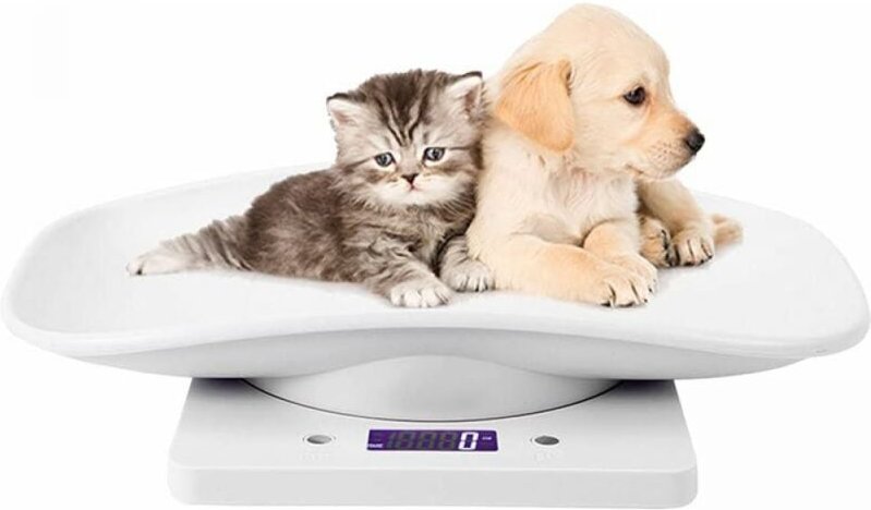 Elektronische Haustierwaage, kleine Digitalwaage, 10 kg/1 g, LCD-Display, Präzisionsmesswerkzeug, Wiegen für Küchenkätzc...