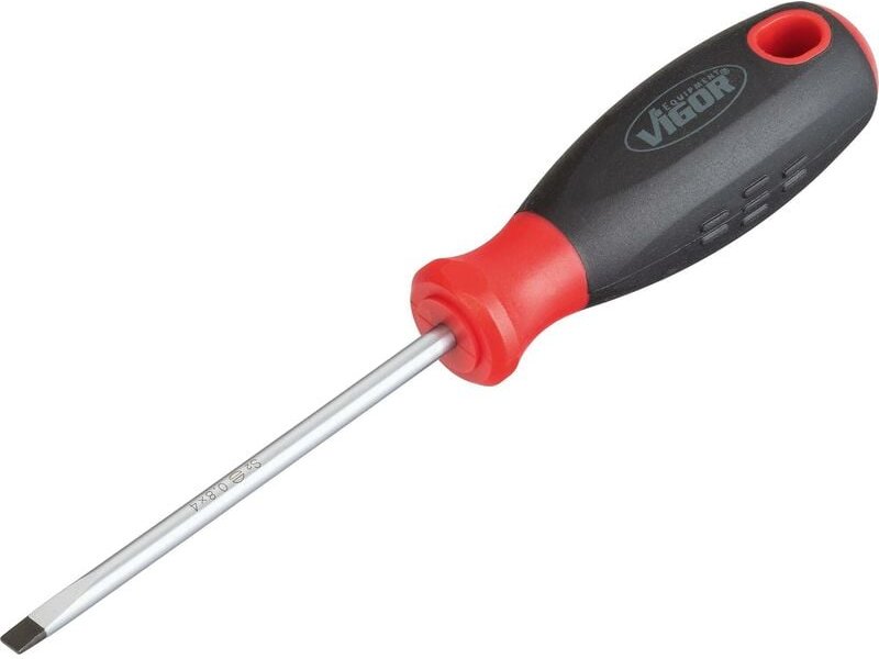 Schlitz Schraubendreher ∙ V1699 ∙ Schlitz Profil ∙ sw 0,8 x 4 mm