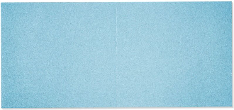 Schleifblätter stf 46X178 P180 gr 10 Stk - Festool