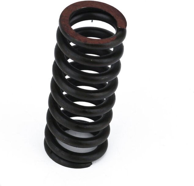 2 Stück Passend für Chevy GMC Olds 15591898 16622460 88891766 Türscharnier Feder