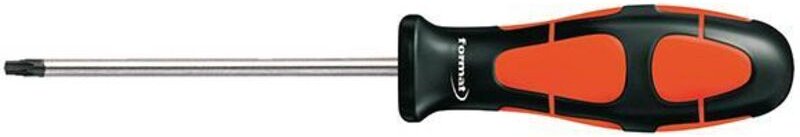 Schraubendreher T25x100mm Format