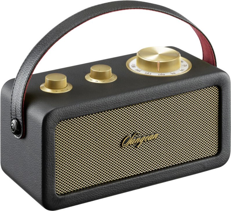 RA-101 Akku-Radio fm Bluetooth®, aux wiederaufladbar Schwarz, Gold - Sangean