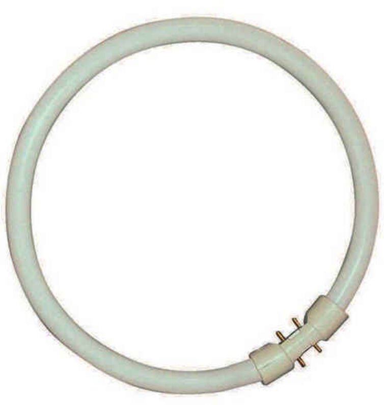 Sylvania 0000521 Ampullenröhre Leuchtstofflampe T5 CIRCLINE PLUS 22 W/840