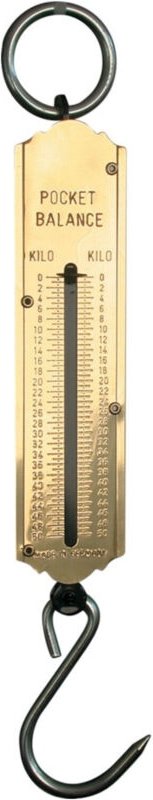 Hesse Taschenfederwaage 50 kg