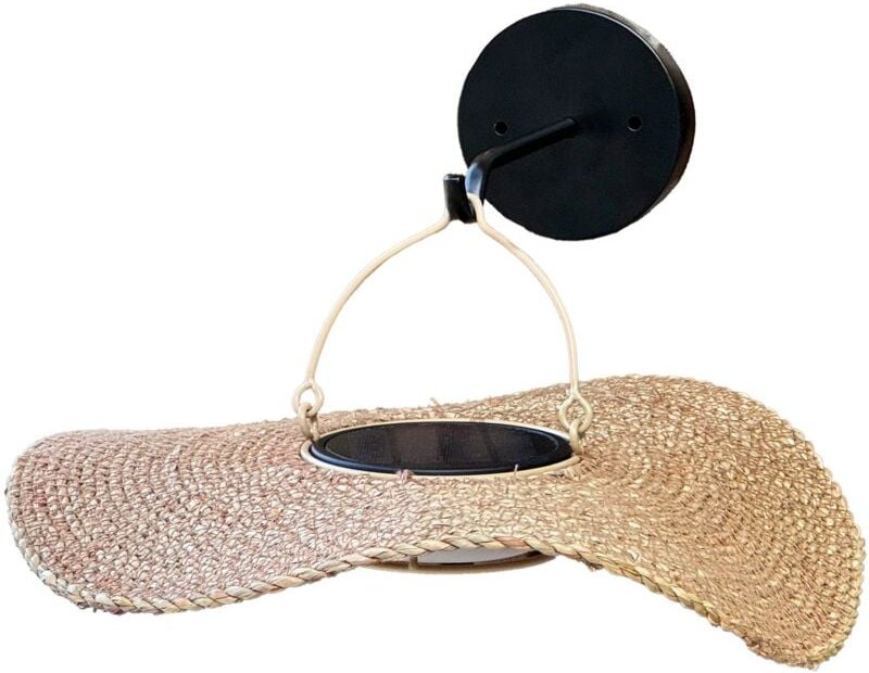 Solar Wandleuchte coralia