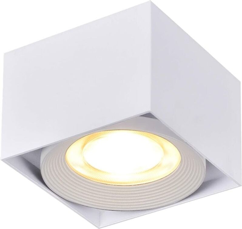 10 w LED-Deckenleuchte, Strahler, Lampe, Deckenstrahler, Decken-/Wandleuchte, verstellbare Deckenstrahler, LED-Deckenleu...