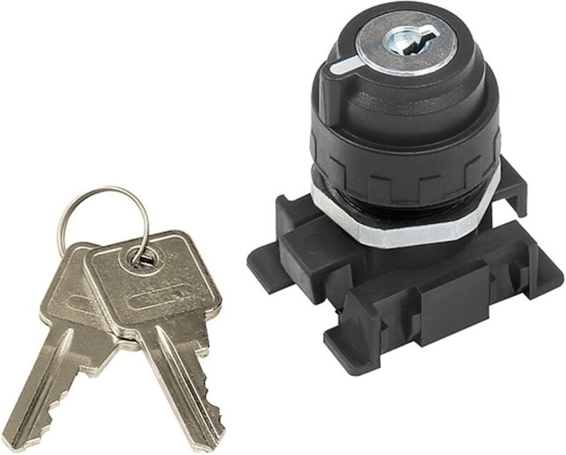 Verschließbarer 2-Stellungsschalter, Schlüsselabzug Grundstellung - Riegler