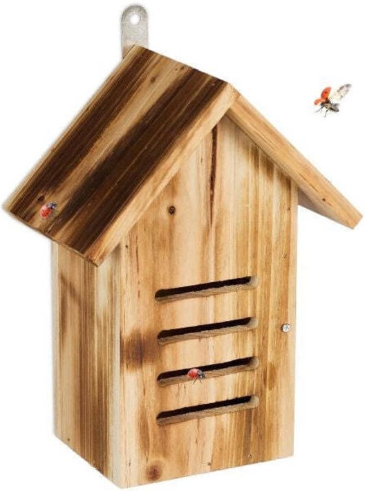 Holzernes marienkaferhaus mit flammen