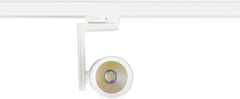 Strahler Timor 30W 2700/4000K Weiß 3 Schaltkreise