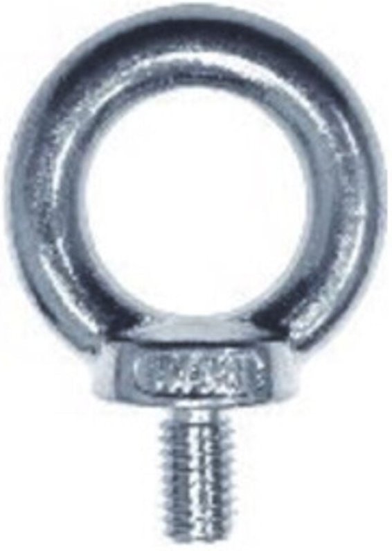 Din 580 Edelstahl A4 M8 hp