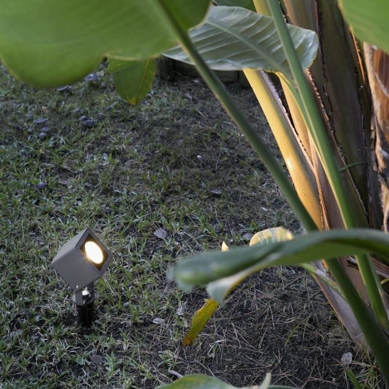 Sobek, Externer Projektor Faro Barcelona