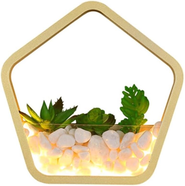 LED-Wandleuchte, warmes Licht, saftiges Fünfeck, moderne minimalistische Wandleuchte aus goldenem Metall mit Acryl-Lampe...