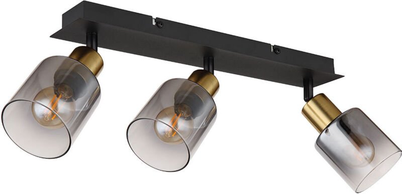 Globo - Deckenleuchte Deckenlampe Spots verstellbar Gold Schwarz Glas Rauchfarbe l 40 cm