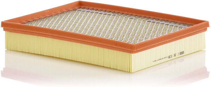 Luftfilter C30039 Mann