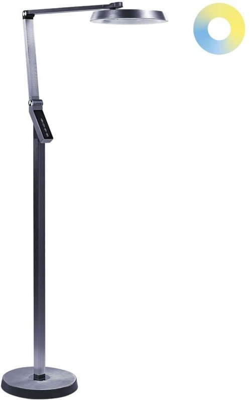 LED-Stehlampe Dunkelgrau Kunststoff 170 cm Höhe Dimmen lcd Moderne Beleuchtung Heimbüro