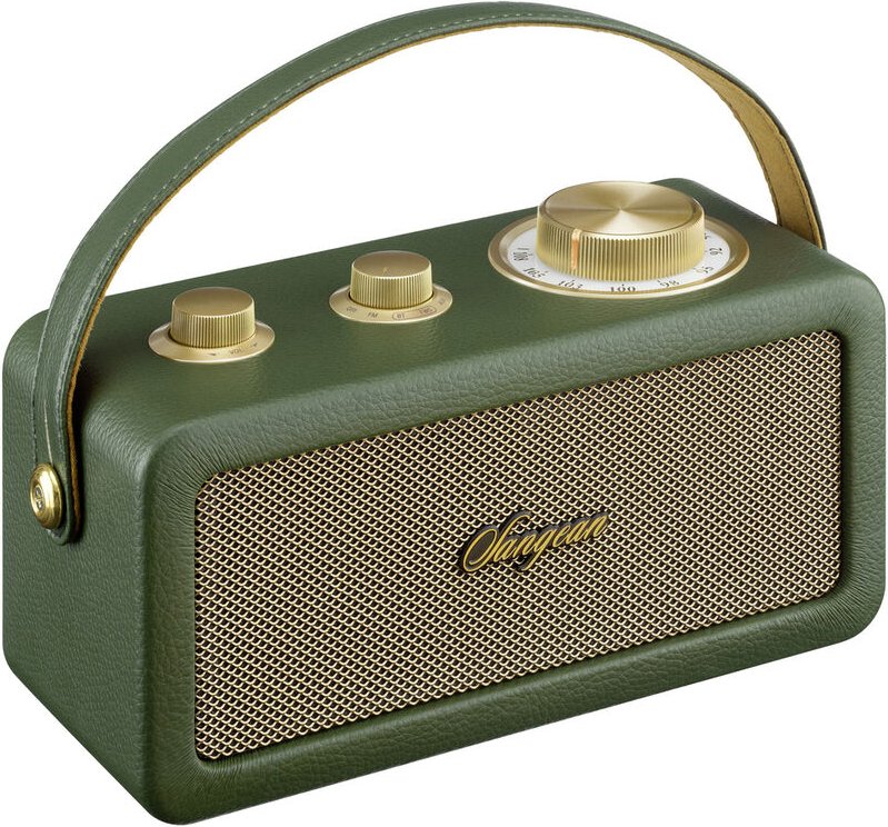 Sangean RA-101 Akku-Radio FM Bluetooth®, AUX wiederaufladbar Grün, Gold