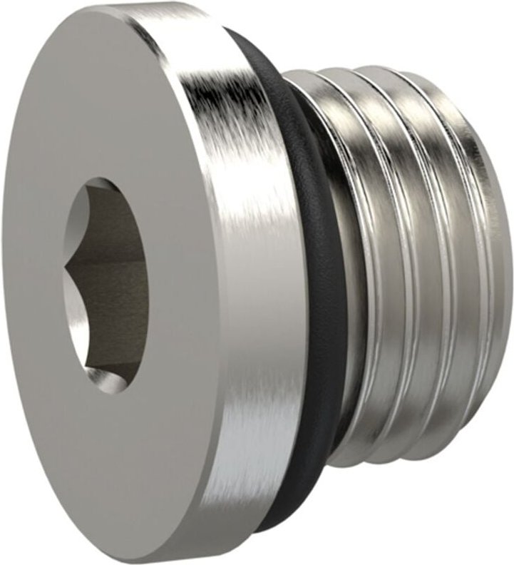 Verschlussschraube, Innensechskant 17 mm, g 3/4, nbr O-Ring, msn - Riegler