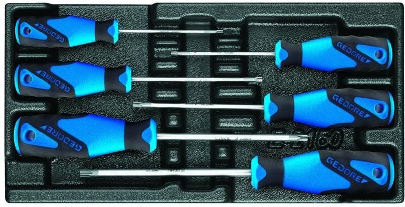 1500 ES-2163 txb Schraubendreher-Satz in 1/3 ES-Modul