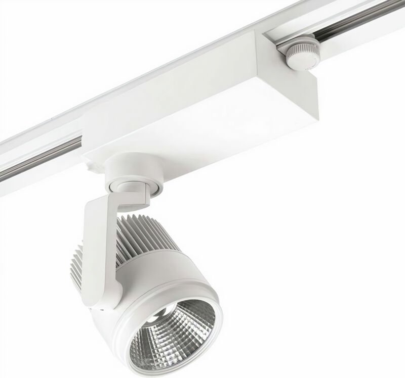 Proyector Action Food 36.9W Blanco Cálido - 3000K cri 85 On-Off Blanco 2036Lm