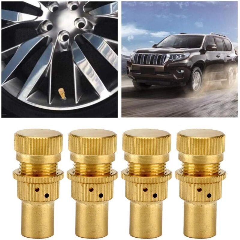 4-teiliger Reifenentleerer, Reifendruckbegrenzungsventil für Autos aus Legierung, universeller Entleerer für Geländefahr...