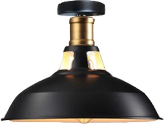 Axhup - Deckenlampe Industriell Vintage Deckenleuchte Eisen 27cm Lampenschirm Schwarz&Weiß Lampe für Flur, Balkon, Trepp...