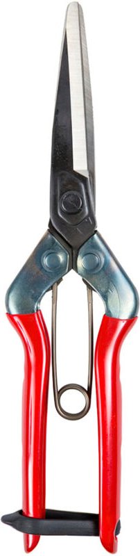 AFT - Ernteschere Chikamasa t 702 210 mm.