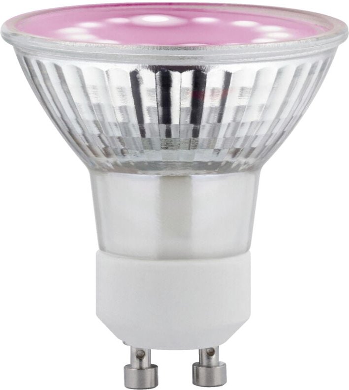 Paulmann - LED-Pflanzenlampe Wachstum 230 v GU10 3.5 w Bernstein 1 St.