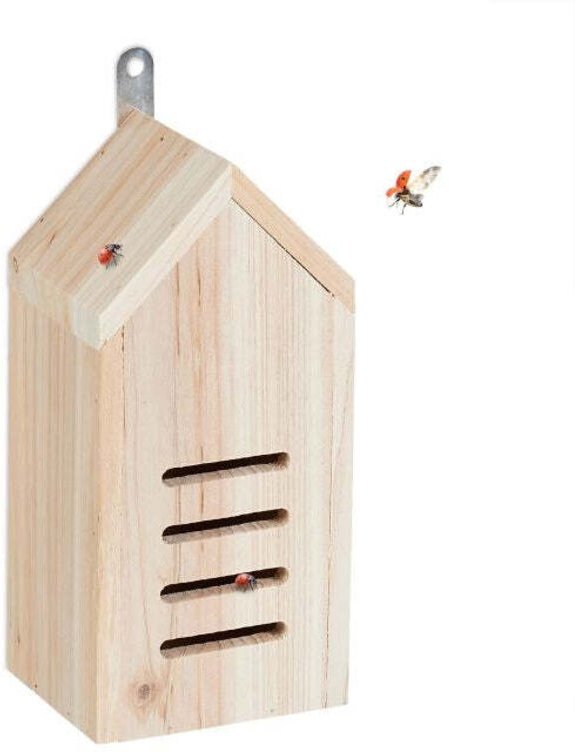 Das moderne haus der magd