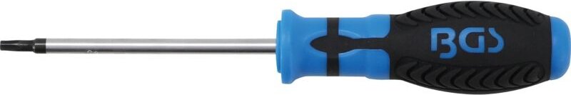 Bgs Technic - Schraubendreher T-Profil (für Torx) mit Bohrung T25 Klingenlänge 100 mm