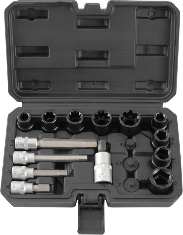 TECPO Bremssattel Steckschlüssel Set, 17-teilig Nuss Bit Einsatz Satz Bremsen Werkzeug kompatibel mit Audi, BMW, Ford, M...