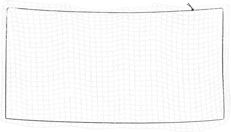 Anhängernetz mit Gummiseil Weiß 7x3,5 m pp Vidaxl