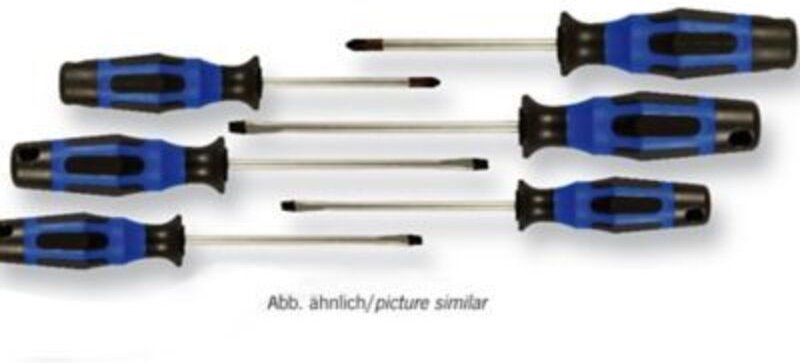 Projahn Schraubendreher Satz 6-tlg. (PZ+Schlitz)